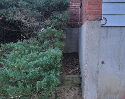 <p style="font-family: 'Poppins', sans-serif; font-weight: 700; font-size:24px;">BUSH TRIMMING</p>
